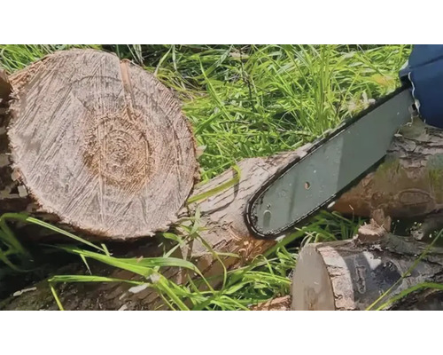 Drujba tăind trunchiuri de copaci afară.