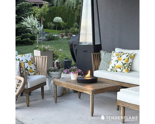 Terasa cu vatră, mobilier de relaxare, masă și plante