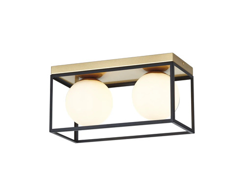 Lumină de plafon cu două lămpi rotunde și cadru dreptunghiular