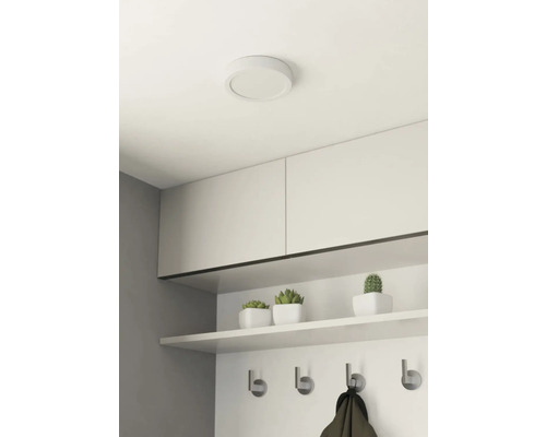 Cameră cu plafonieră, dulapuri, raft și suport pentru haine