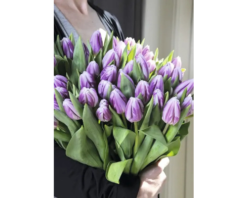 Bulbi de lalele FloraSelf Flaming Flat 11/12 10 buc. | HORNBACH