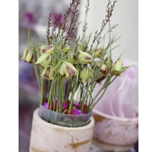 Aranjament floral decorativ într-un ghiveci