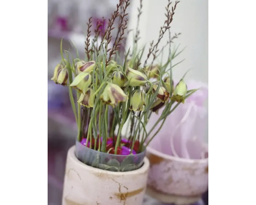 Aranjament floral decorativ într-un ghiveci