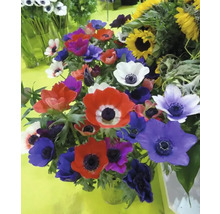 Buchet cu anemone și floarea-soarelui