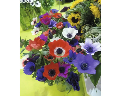 Buchet cu anemone și floarea-soarelui
