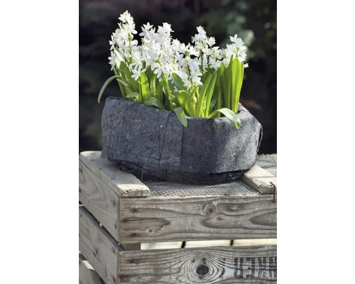 Jardinieră cu flori de Scilla pe ladă de lemn