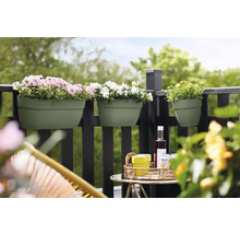 Scenă de balcon cu jardiniere pe o balustradă, plantate cu flori roz, albe și galbene, cu o masă și scaune în prim plan