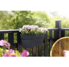 Jardinieră de balcon cu flori pe balustradă