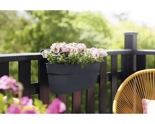 Jardinieră de balcon cu flori pe balustradă