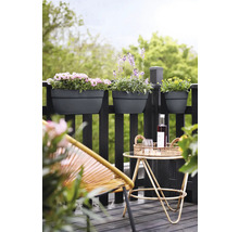 Scenă de balcon cu jardiniere pe balustradă, o măsuță cu băuturi și un scaun