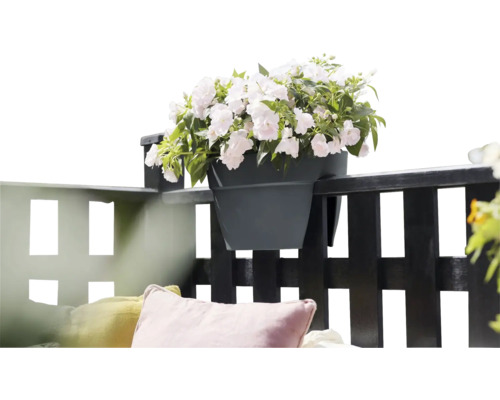 Ghiveci cu flori albe pe o balustradă de balcon