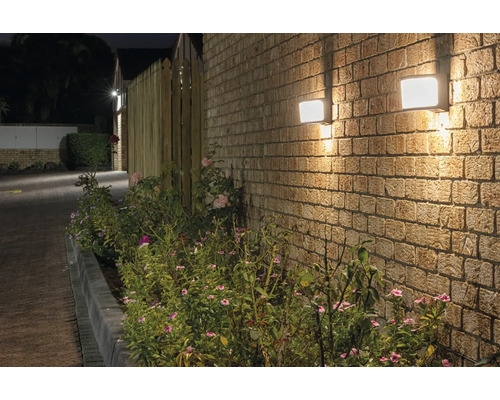 Două lămpi de exterior pătrate pe un zid de cărămidă lângă o zonă plantată.