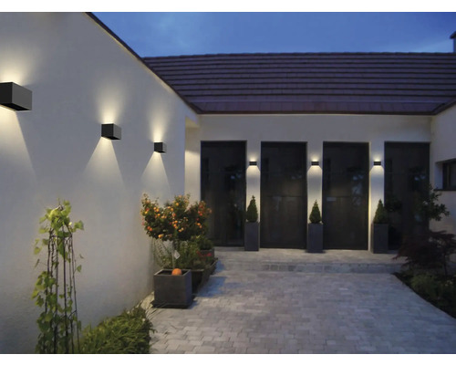 Exterior cu iluminat de fațadă și vegetație