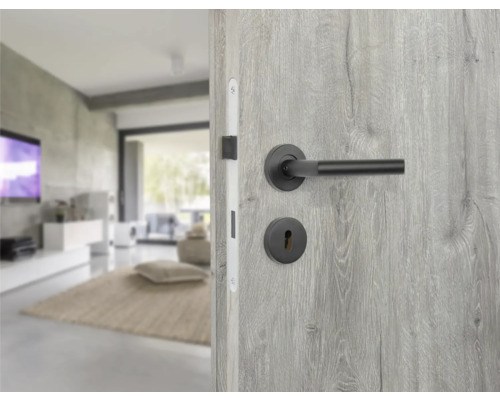 Ușă interioară cu feronerie și vedere spre un living