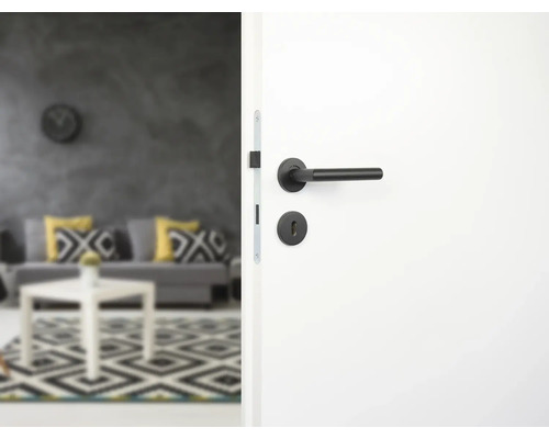 Ușă albă cu mâner negru și vedere spre un living