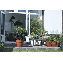 Ghiveci Elho Vibia Campana plastic Ø 27 cm H 14 cm negru