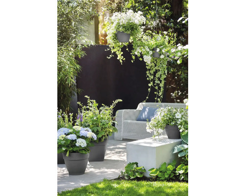 Grădină cu ghivece de flori, plante suspendate și locuri de ședere pentru o atmosferă relaxantă