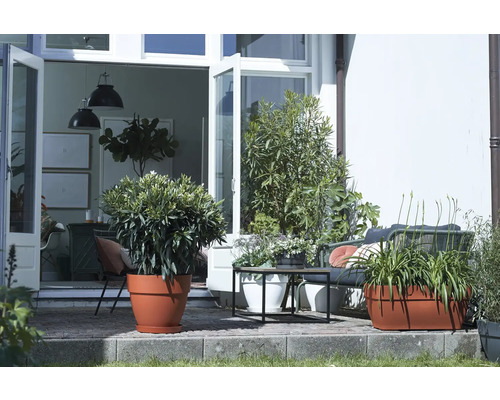 Terasa cu plante în ghivece, mobilier de grădină și ușă deschisă spre interior