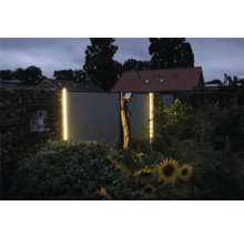 Vedere de grădină cu gard gabion, gard de lemn și iluminare LED decorativă