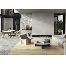 Living modern cu podea cu gresie, masă și șemineu