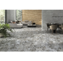 Interior cu gresie cu aspect de piatră, canapea, masă de sufragerie și plantă