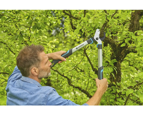 Un bărbat taie ramuri de copac cu o foarfecă de grădinărit Gardena.