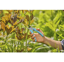 Foarfecă de grădină utilizată pentru tăierea plantelor