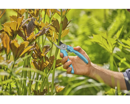 Foarfecă de grădină utilizată pentru tăierea plantelor