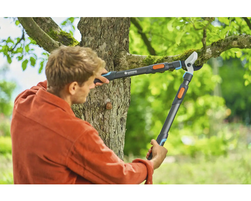 Bărbat taie crengi de copac cu un clește cu pârghie de la Gardena.