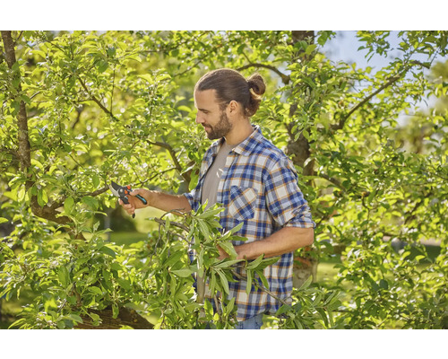 Un bărbat taie un copac cu o foarfecă de grădină