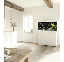 Living modern cu acvariu și dulap inferior în decor luminos
