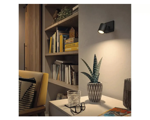 Sufragerie cu lampă de perete, raft și plantă de interior pe o masă