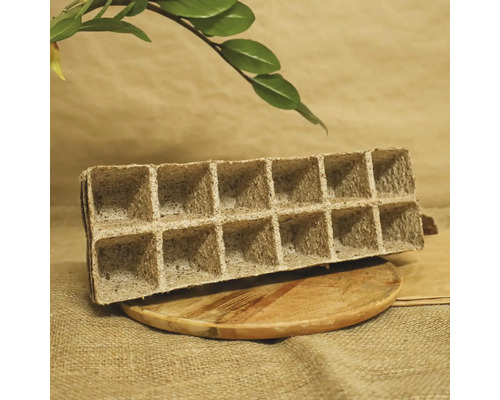 Tavă de germinare din celuloză cu 15 compartimente pentru cultivarea plantelor