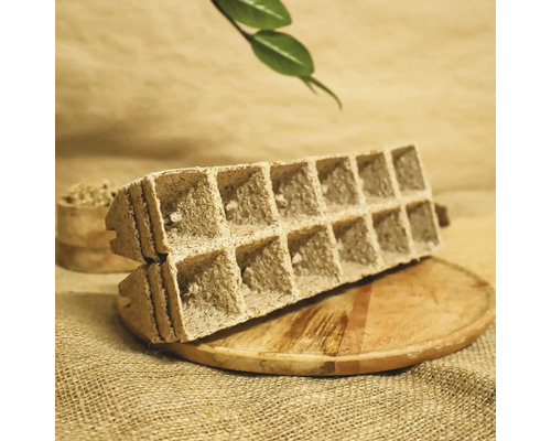 Ghivece de răsad din celuloză pe o scândură de lemn