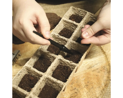 Umplerea unei tăvi de însămânțare cu pământ pentru semănat