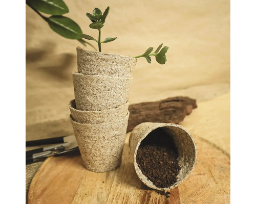 Ghivece de turbă Jiffy cu plantă și pământ de semănat pe o farfurie de lemn