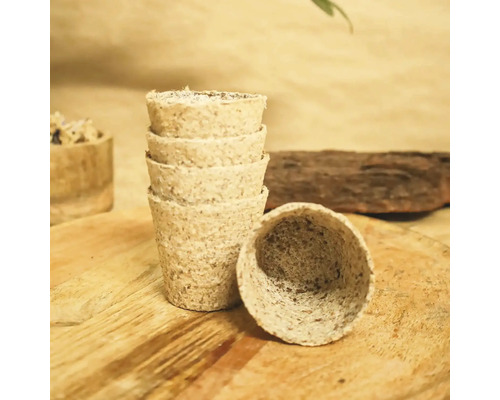 Ghivece de răsad din celuloză stivuite pe o masă de lemn