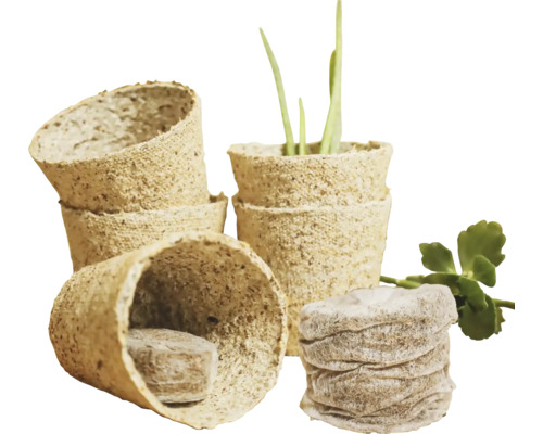 Ghivece de însămânțare și tablete de însămânțare pentru cultivarea plantelor