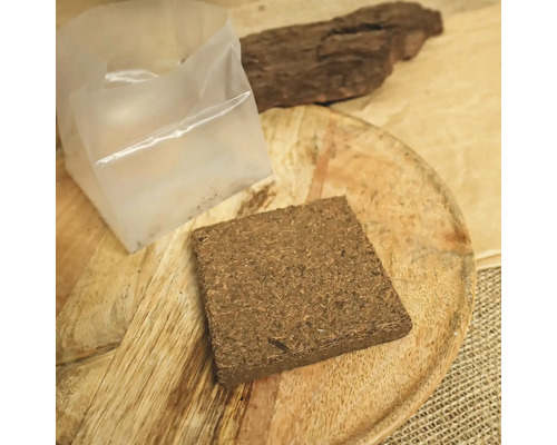 Tabletă de cocos pentru germinare cu ghiveci pe scândură de lemn