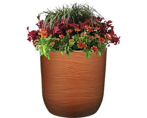 Ghiveci de flori cu plante