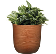 Ghiveci flori Cactus Ø 35 cm H 35 cm cărămiziu