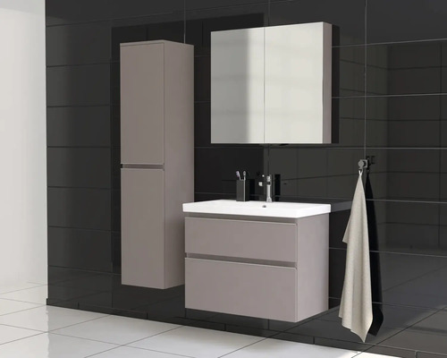 Baie cu lavoar, dulap cu oglindă și dulap înalt în fața unui perete negru