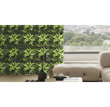 Perete verde artificial cu diverse plante într-un spațiu de locuit.