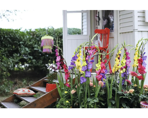 Grădină decorativă cu gladiole, locuri de ședere și scări