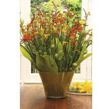 Aranjament floral cu montbretia în vază