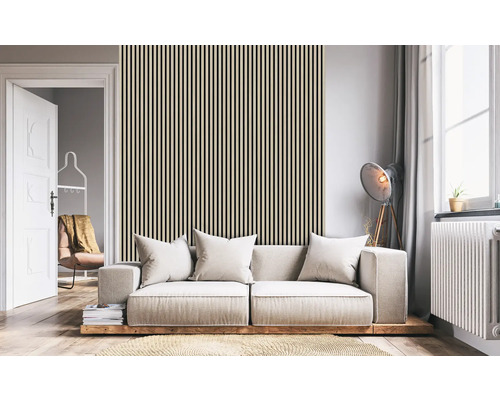 Cameră de zi cu canapea și panouri de perete