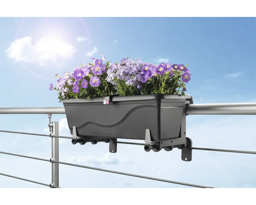 Jardinieră cu flori violet pe balustrada balconului