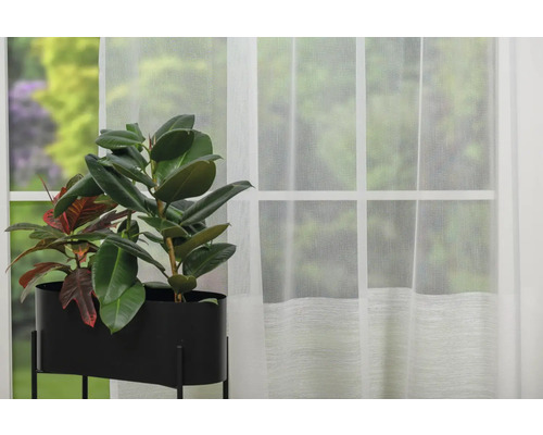 Cameră cu fereastră, perdea și plantă de apartament într-un ghiveci