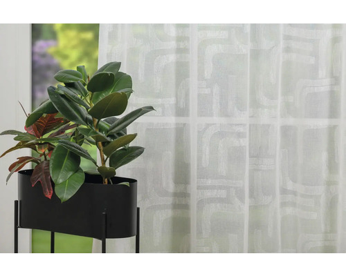 Cameră cu plantă în ghiveci și perdea.