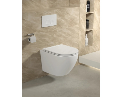 Toaletă suspendată cu placă de acționare și suport pentru hârtie igienică într-o baie cu rafturi